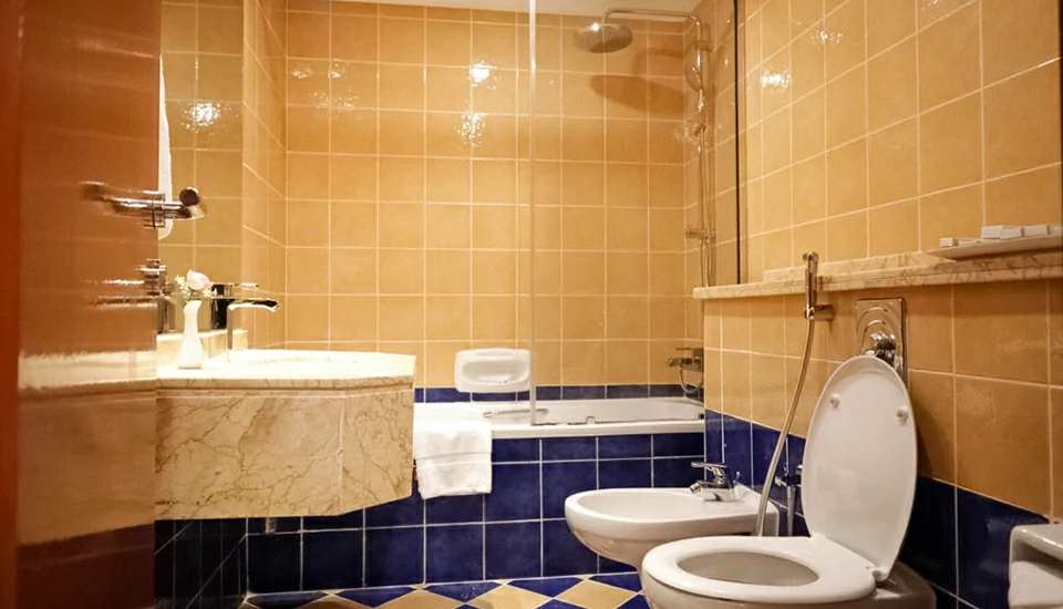 هتل رویال کنکورد دبی